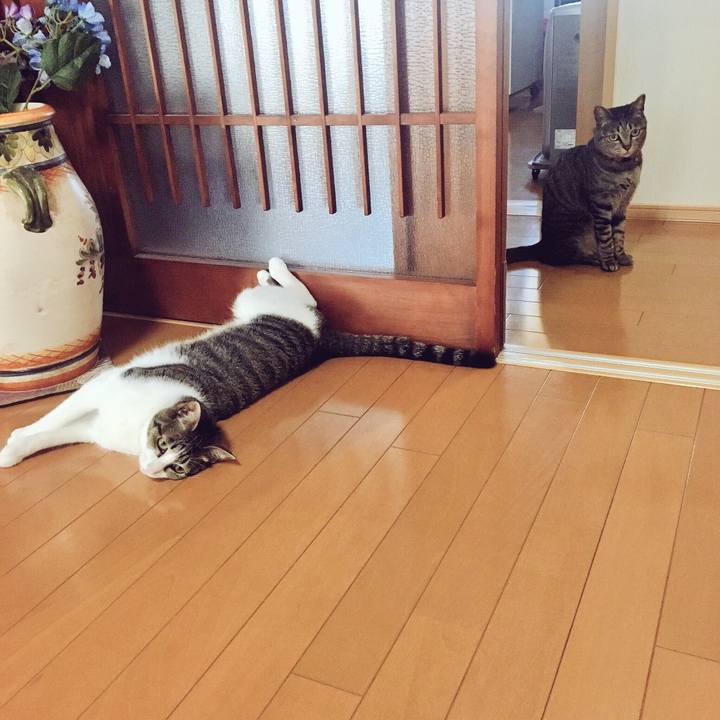 B6ad4097 8f8b 441c a74e 0a030d9e5cab 1527121445032