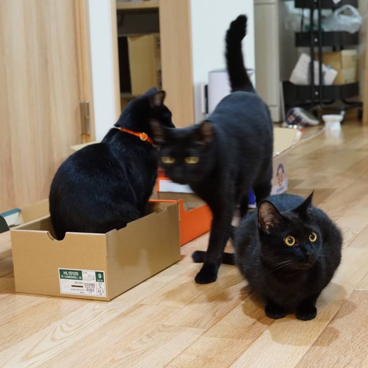 B6ad562c 305e 4794 b391 571d0f9f167c 1521325529052