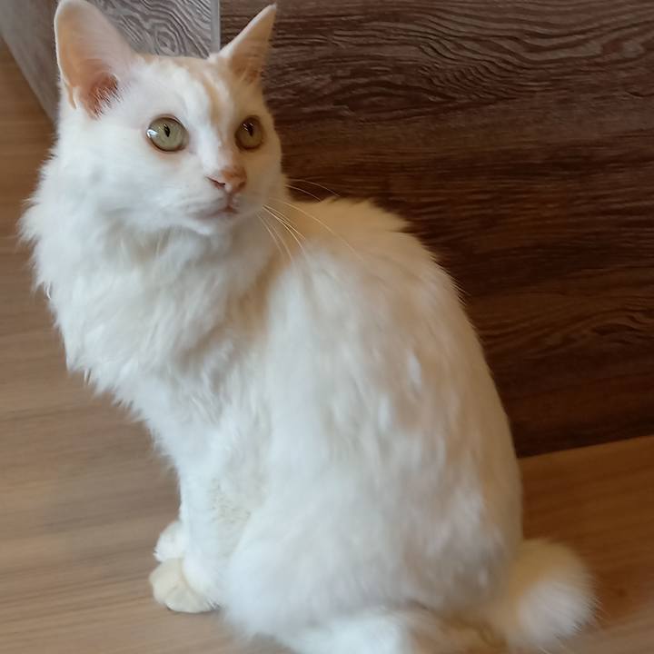 B6ad5d6c a333 4872 957b 362ae7fbc6c2 1651180448541