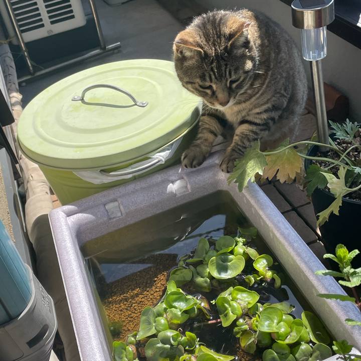 B6ad6742 adee 4023 b18f b8e3900488e9 1619489115865