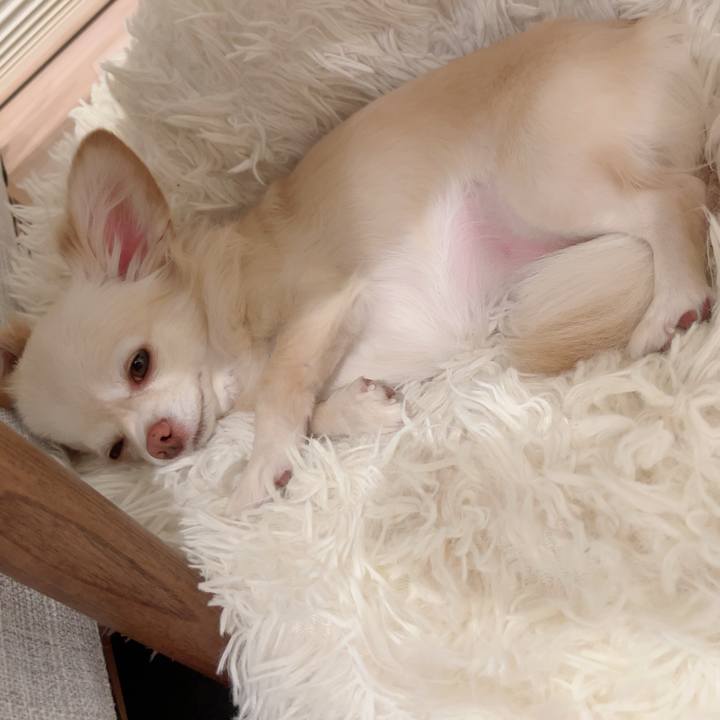 B6ad6e24 37c3 4840 8d64 b6f23dad179c 1729559480848