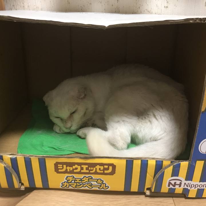 B6ad8ae2 3575 488b 8225 b1dfe3d87cfb 1591270700327