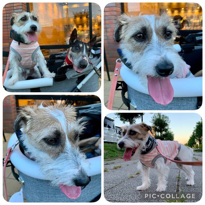 B6adccfe 2db1 40a7 a392 28052276160a 1628021139488