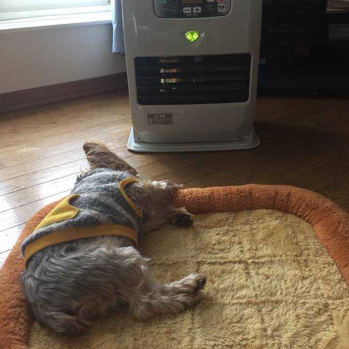 B6adf26e 32fa 471b 803f 1a261f5adc0d 1539210272507