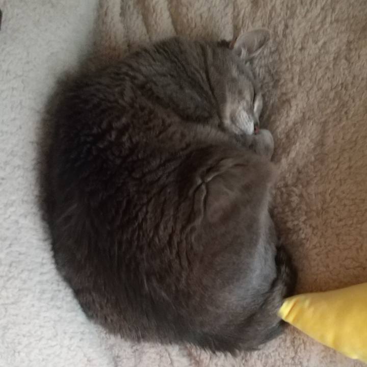 B6adf65c 48d8 4cb9 9a12 1f23da5b841a 1648262850648