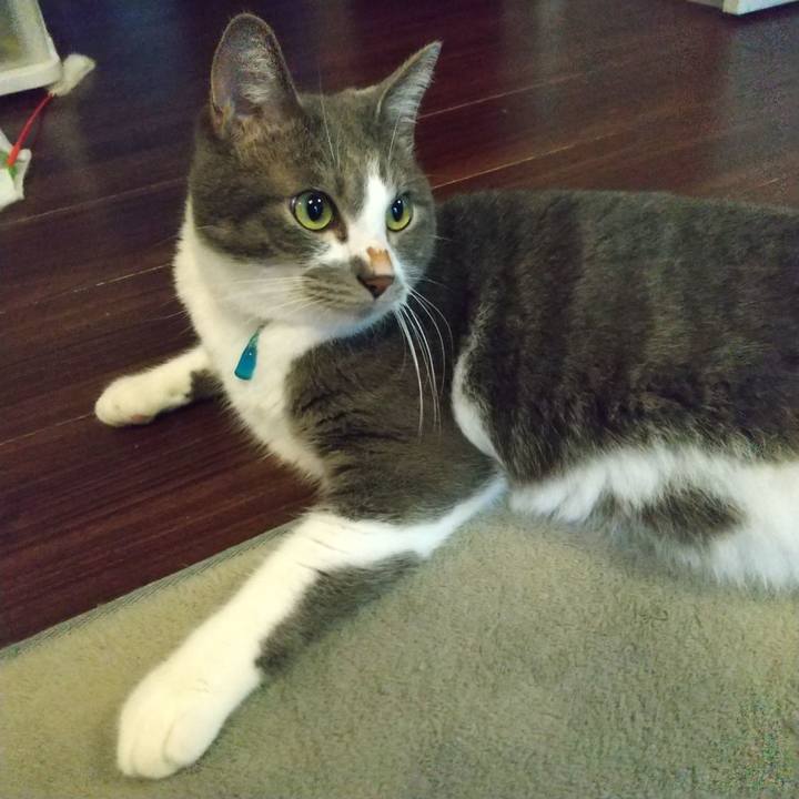 B6ae0b9d 9377 4e3f 9c46 b13eabcdaa8e 1629669224463