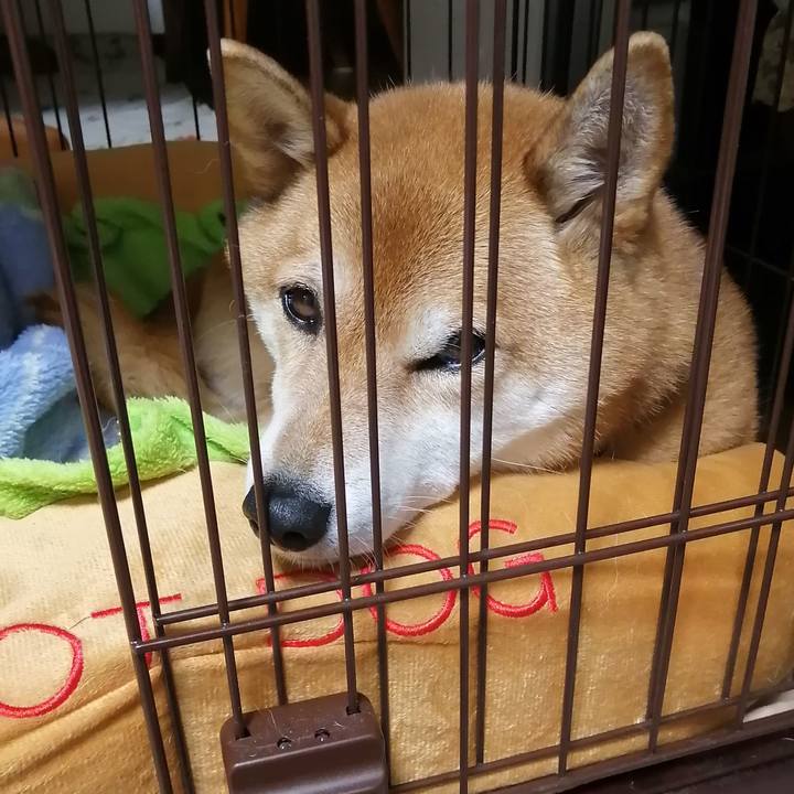 B6ae97f0 bc94 43dd 9101 2db766e0508b 1669214457172