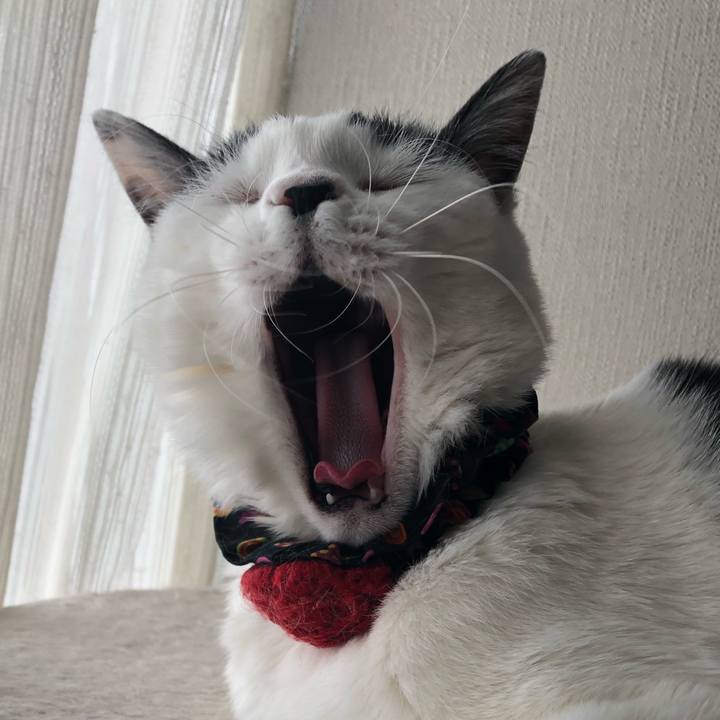 B6ae996d dc69 44c1 858b 528f06c1b001 1553573291410