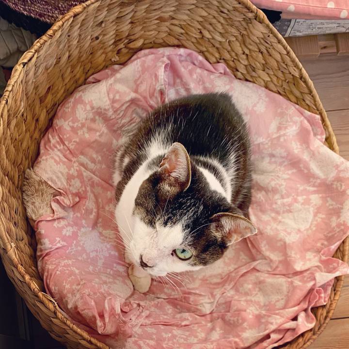 B6aedae2 22f0 4d00 9660 c8779407ce62 1623281139185