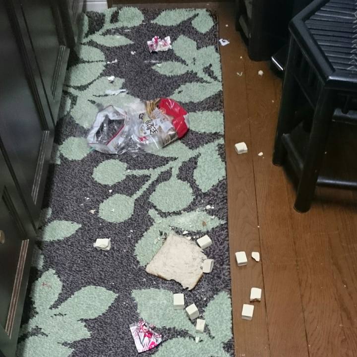 B6aee4bc 3e70 42c2 af34 42852d588372 1516794651793