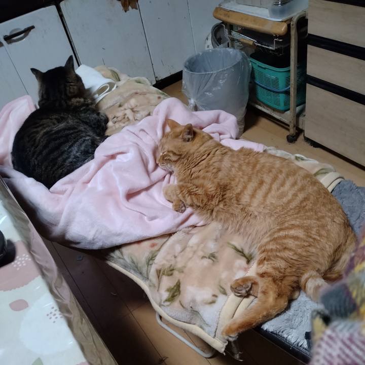 B6af1180 8c51 42ad 8e3b 67332d239558 1674546770861