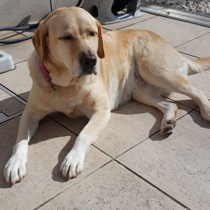 B6af5648 038a 49b6 b15d ab97790b1d63 1549254374026