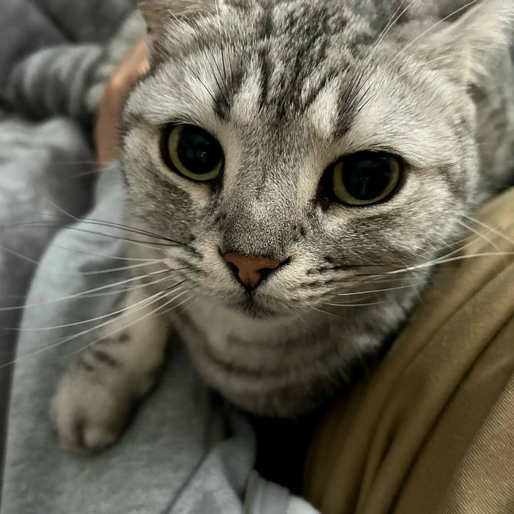 B6af682a 4532 4028 a063 3ab92729e7f4 1679958611425