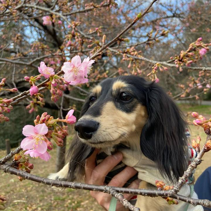 B6af8d7c b1e7 4a57 b69d 2e740f147da0 1740885605933