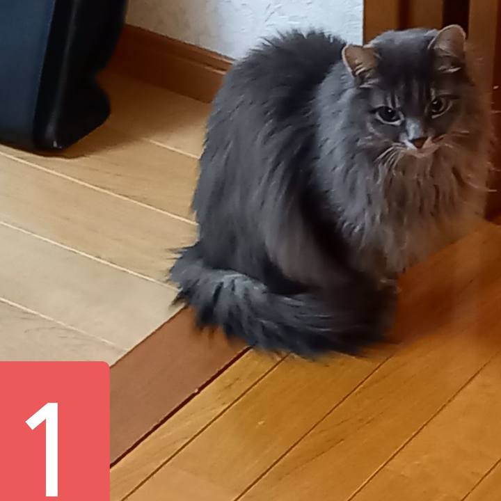 B6afc9a2 b89c 4eec b230 21ca642fe7eb 1616156046953