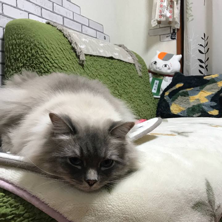 B6afdcae 3ca5 455b 951f b611fa7af0f2 1519474182360