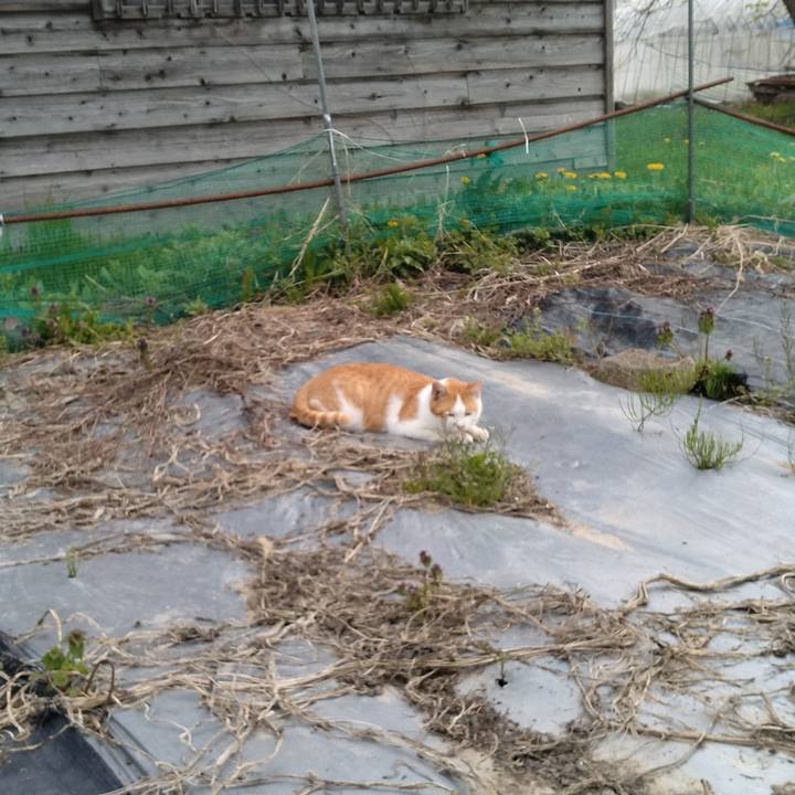 B6afed74 3d28 4c9d aac4 47292363bab5 1746861378578