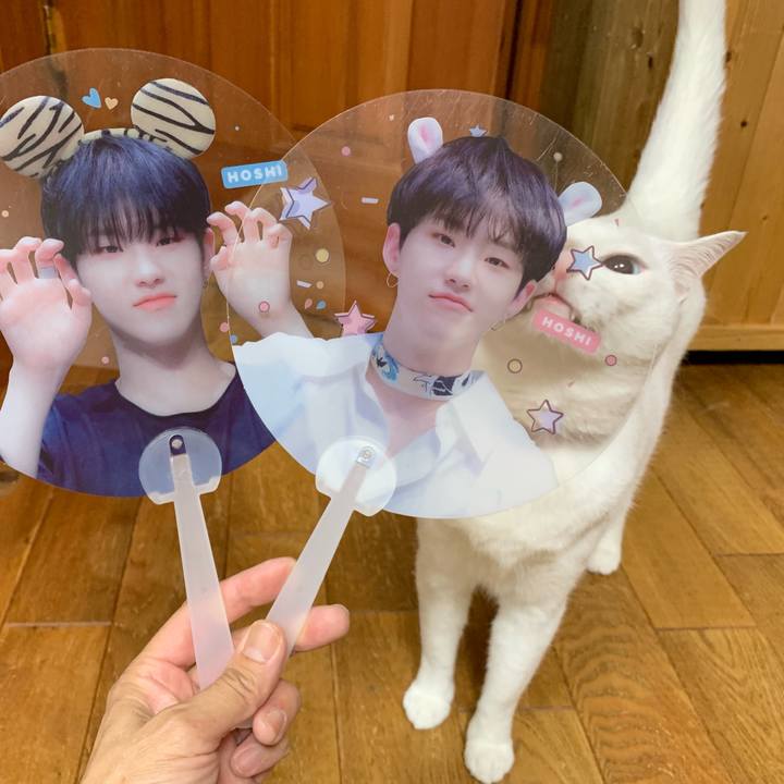 B6aff751 1dec 4610 bc14 b809abec24e6 1561125395420