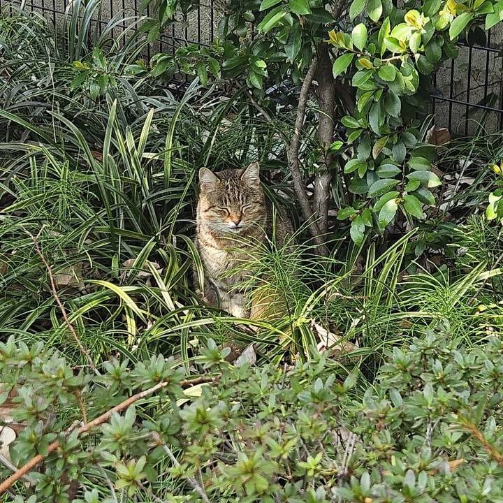 B6b0036b c767 46fc aed4 731865b8420c 1714022390028