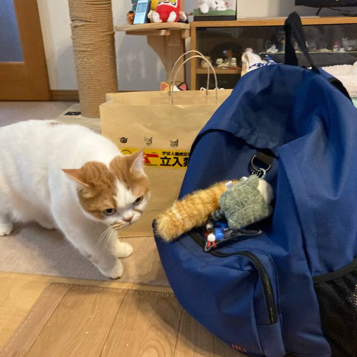 B6b031bd 0230 4122 aa3f 2be8bca66266 1766749485624