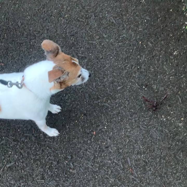 B6b05bb1 94be 4d99 bc99 a756eaef3635 1561123423333