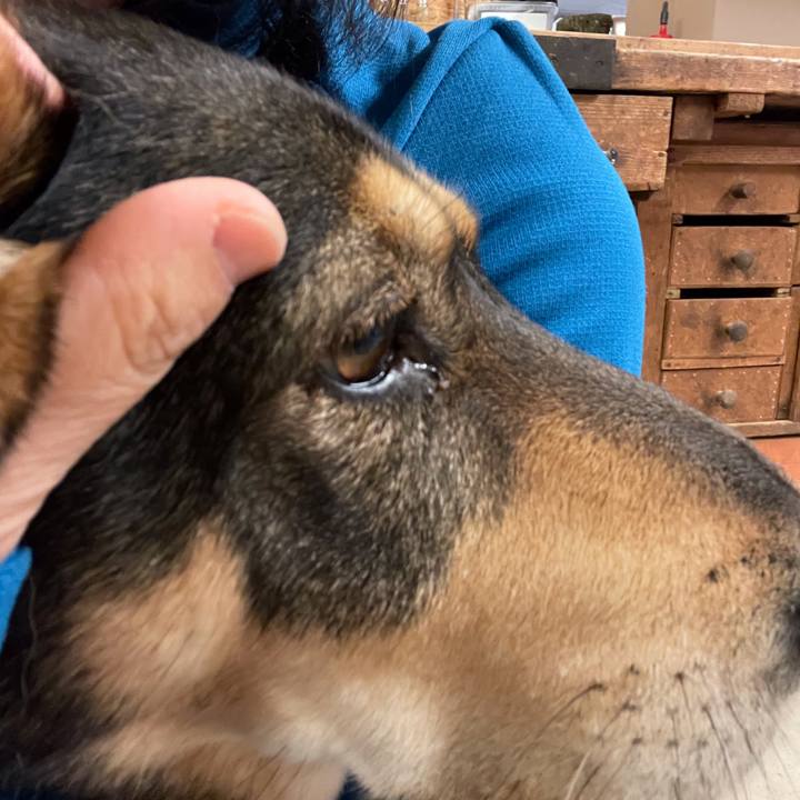 B6b06b23 1da4 4037 a7c7 fd5a77b3b6a7 1633432914651