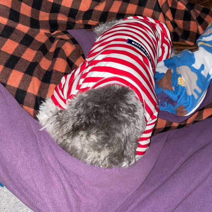 B6b07b4b fb8e 4b20 b51d bf3964902ed7 1608830378041