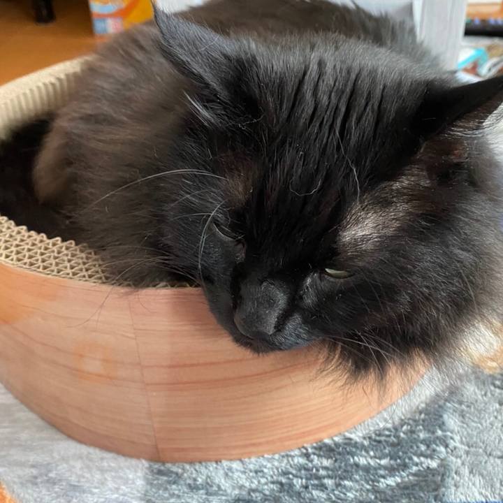 B6b0a360 c4d0 4c62 bff9 3e7ad0463a61 1581592816038