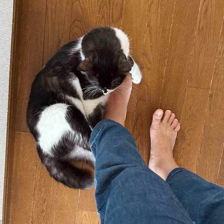 B6b0a4db 2eee 4b26 9237 a777370aeb2a 1757984001487