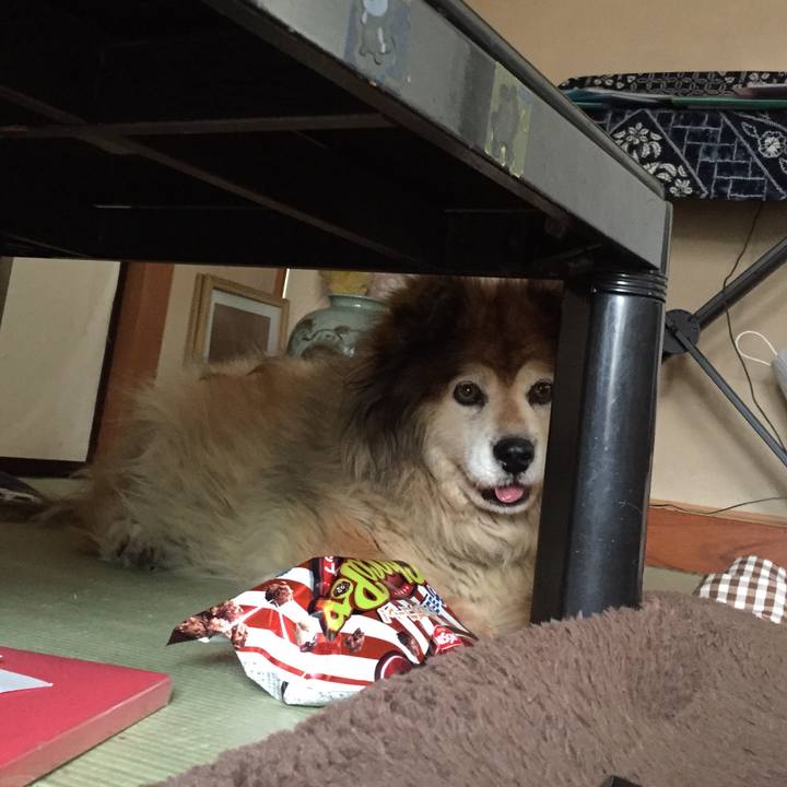 B6b0a724 94a2 44ac 920f 6fa20b2233ed 1551571911660