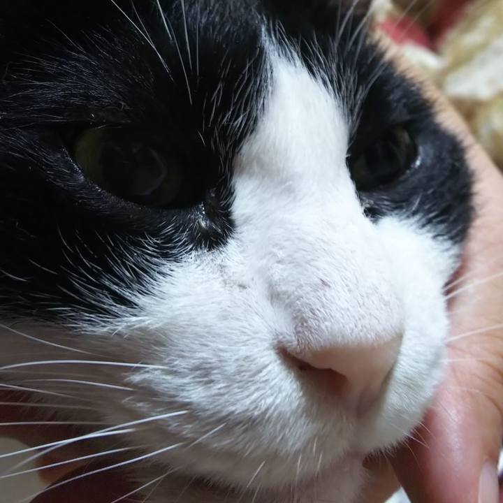 B6b0c72e cc93 4112 9da9 fe5c51c8f11c 1571262704865