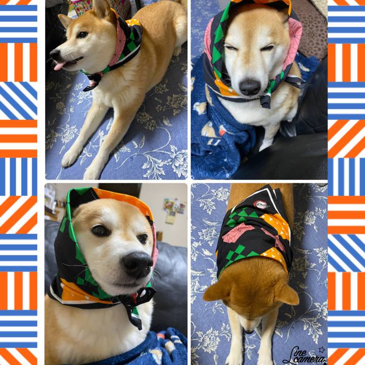 B6b0d34d a276 4bb7 baf3 e2029abf3d3f 1611674775837