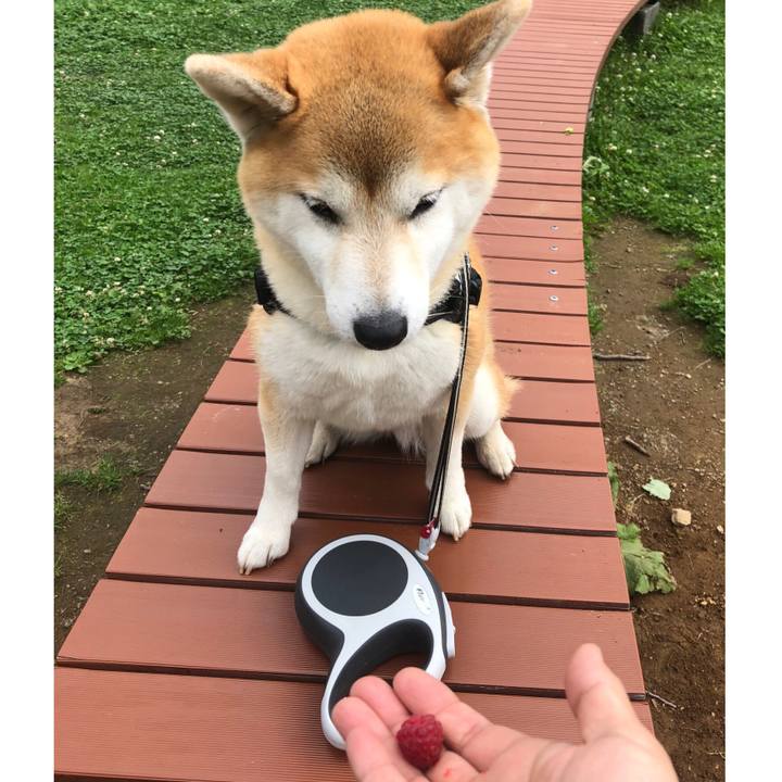 B6b10908 6d95 4cf5 b69a d16664feba5e 1594692899521