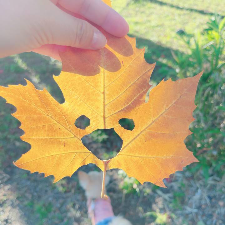 B6b139bf e9ef 42b8 843a ee25ccb487a3 1699942464540