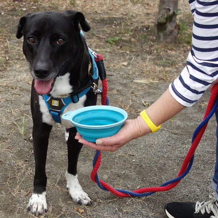 B6b143dd c0a3 4be6 a446 5956fd189f9c 1632703891848