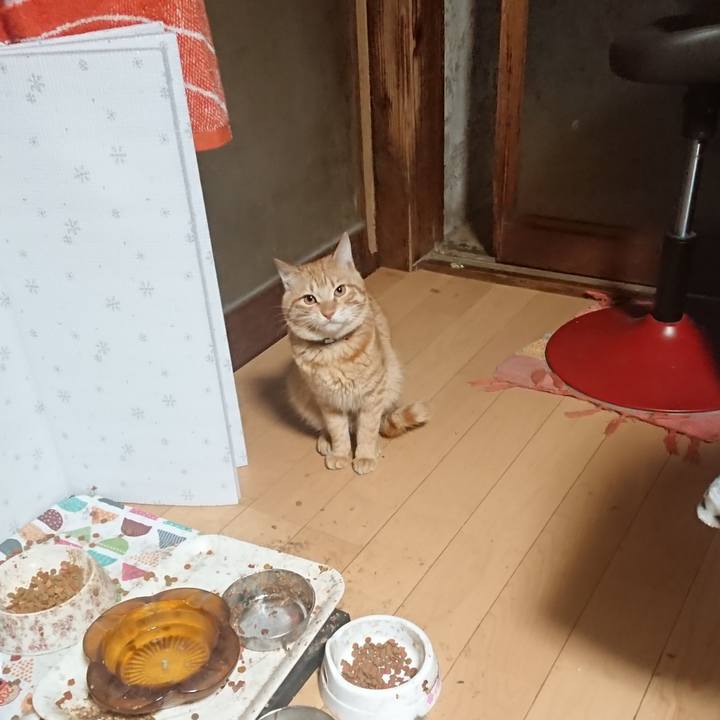 B6b14b65 5532 4807 8344 0df5b4616230 1647378087051