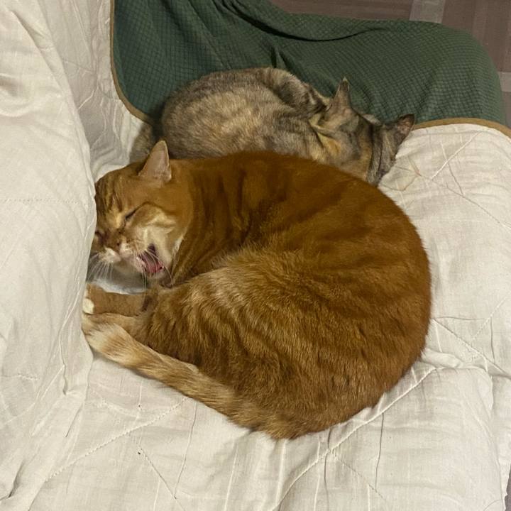 B6b162f5 8d46 44d1 93d7 ae3dd690bbf8 1639702861778