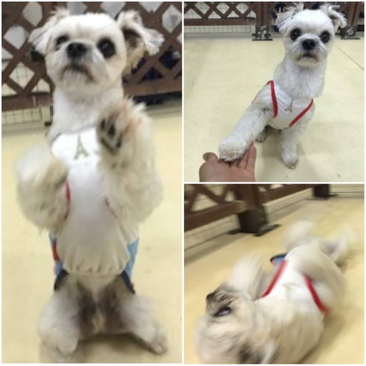 B6b19963 985c 4073 81b3 f237d3a1249a 1542626779119