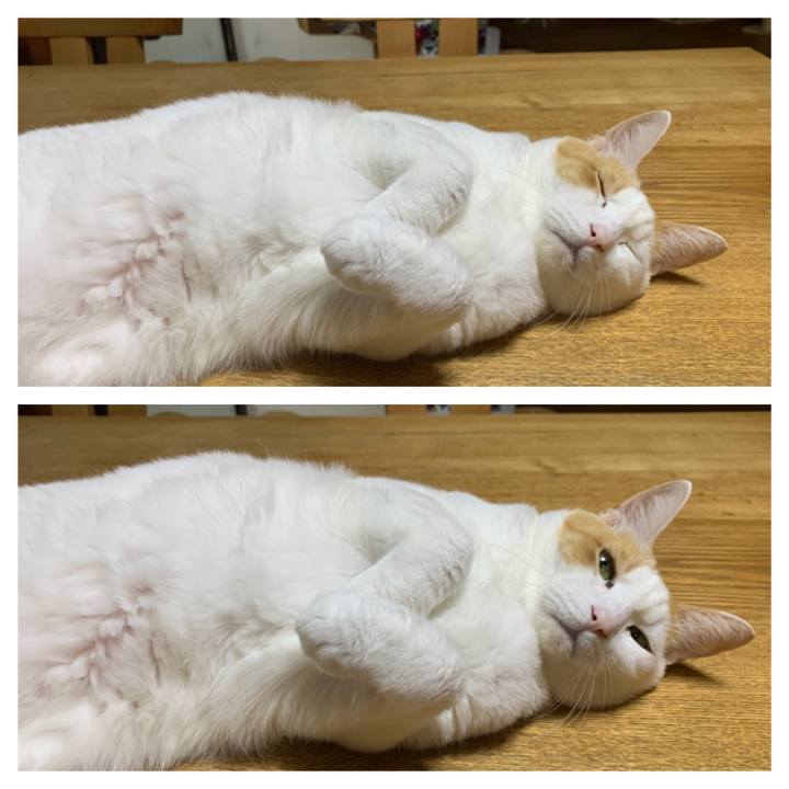 B6b1de5e 5565 4875 bb0d 52ea53cfc00e 1663757956405