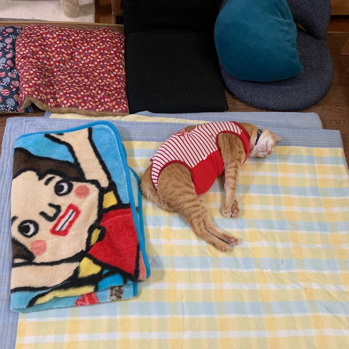 B6b1ee0e 8fb7 434a a500 6117e89f15a5 1593814861003