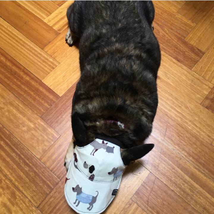 B6b1ff9f a51d 49d6 8079 14085ecaf22a 1766617112769