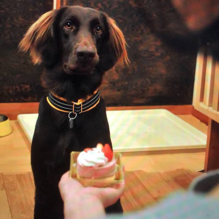 B6b2021b 3e85 4ae2 980c fa8130b547bd 1577073951570