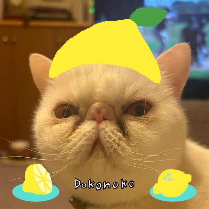 B6b20822 4746 4fd0 98f9 9e48e5c70b18 1741084418660