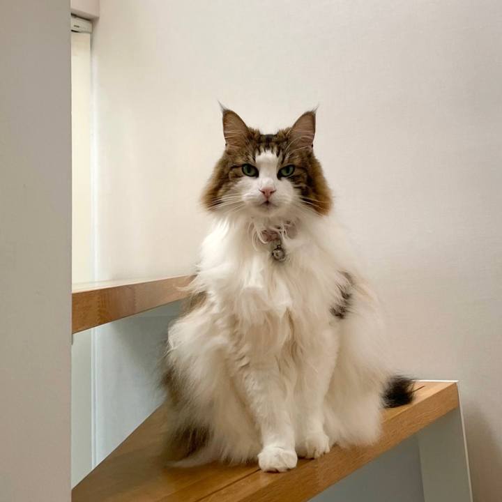 B6b22ade 479e 419b a0ea c5f0bad80b74 1697007302629