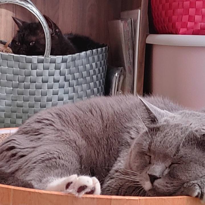 B6b23640 f470 4c0a 8b83 5869505b5d6e 1639802590041