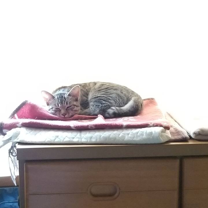 B6b23bb7 5854 472d 937d e61ffbb90fd4 1668602283128