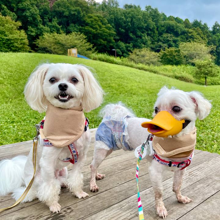 B6b24381 98f2 4825 9b45 952c93be72ca 1630230455048