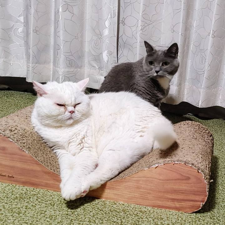 B6b25ab2 64bb 4805 9d15 7e530ef6de79 1731672254917