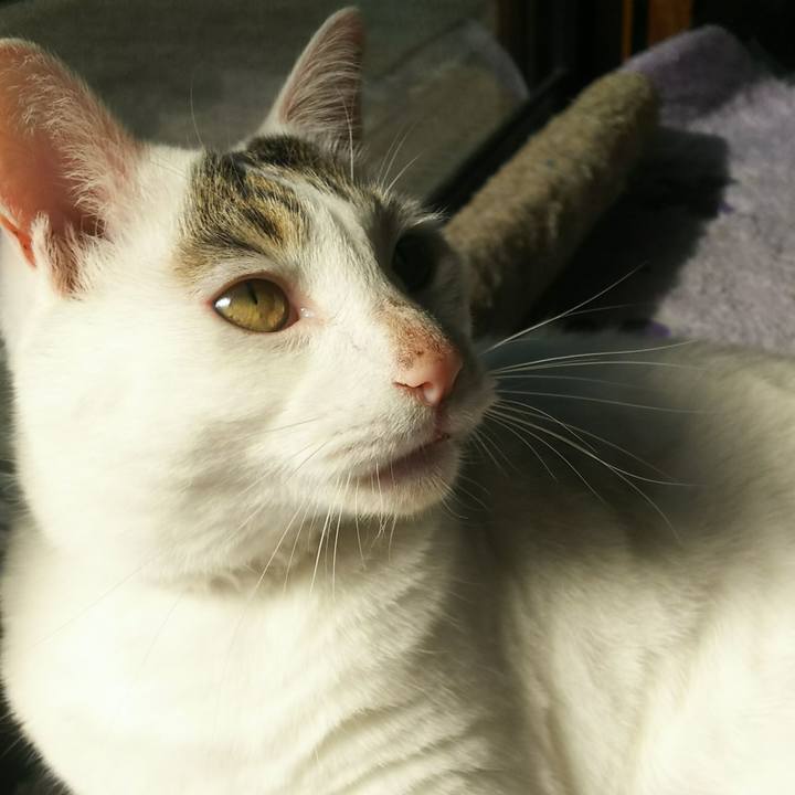 B6b270db 2481 4a12 80bd d67743a5a26c 1541659753385