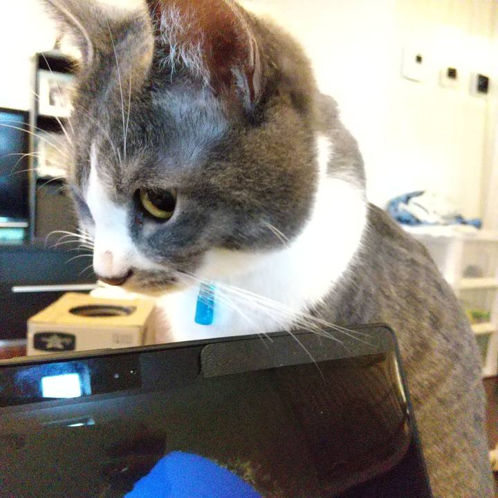 B6b295f6 c165 483d b5dc 5ff89aec8574 1609366915511